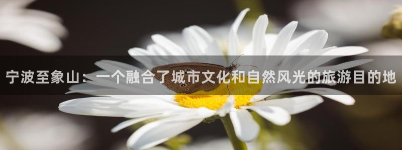大海影视免费版下载