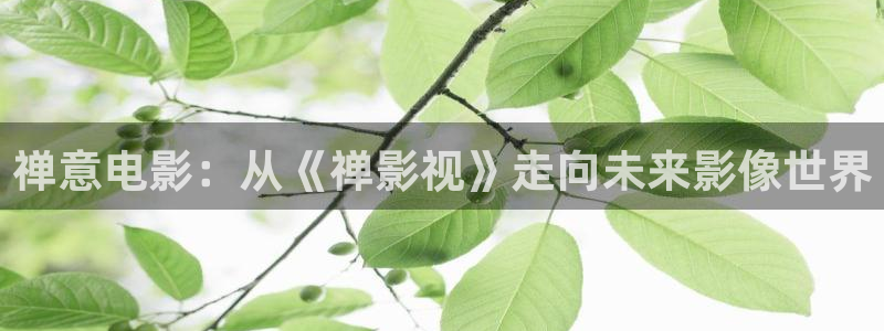 大海电影