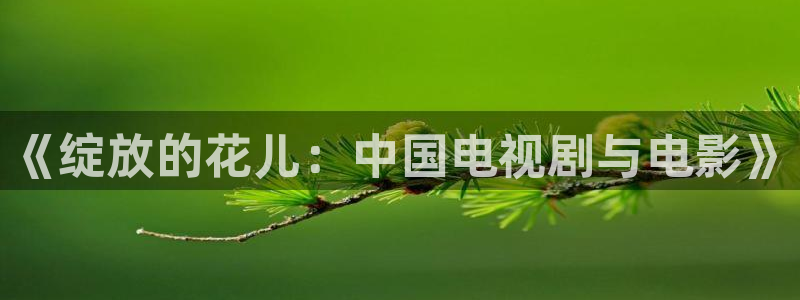 《大海影视》免费观看